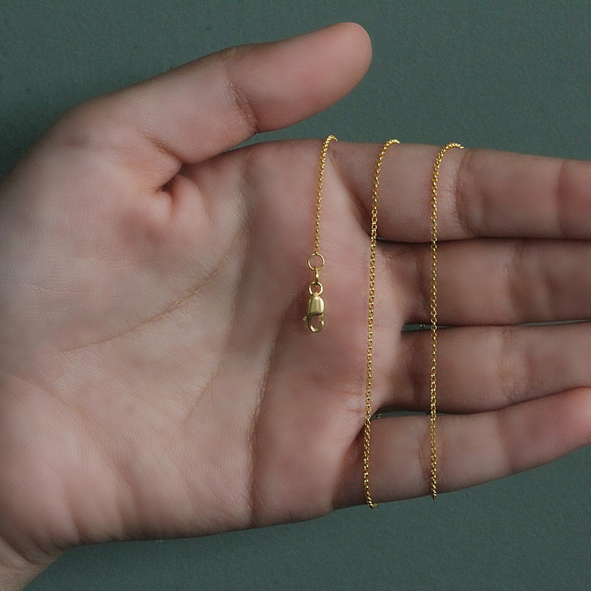 Diamond-Cut Rolo Chain Necklace in 14K Yellow Gold