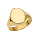 Oval Signet Ring in 14K Yellow Gold