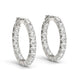 Two Sided Prong Set Diamond Hoop Earrings in 14K White Gold (3 1/2 cttw)