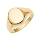 Oval Satin Signet Ring in 14K Yellow Gold