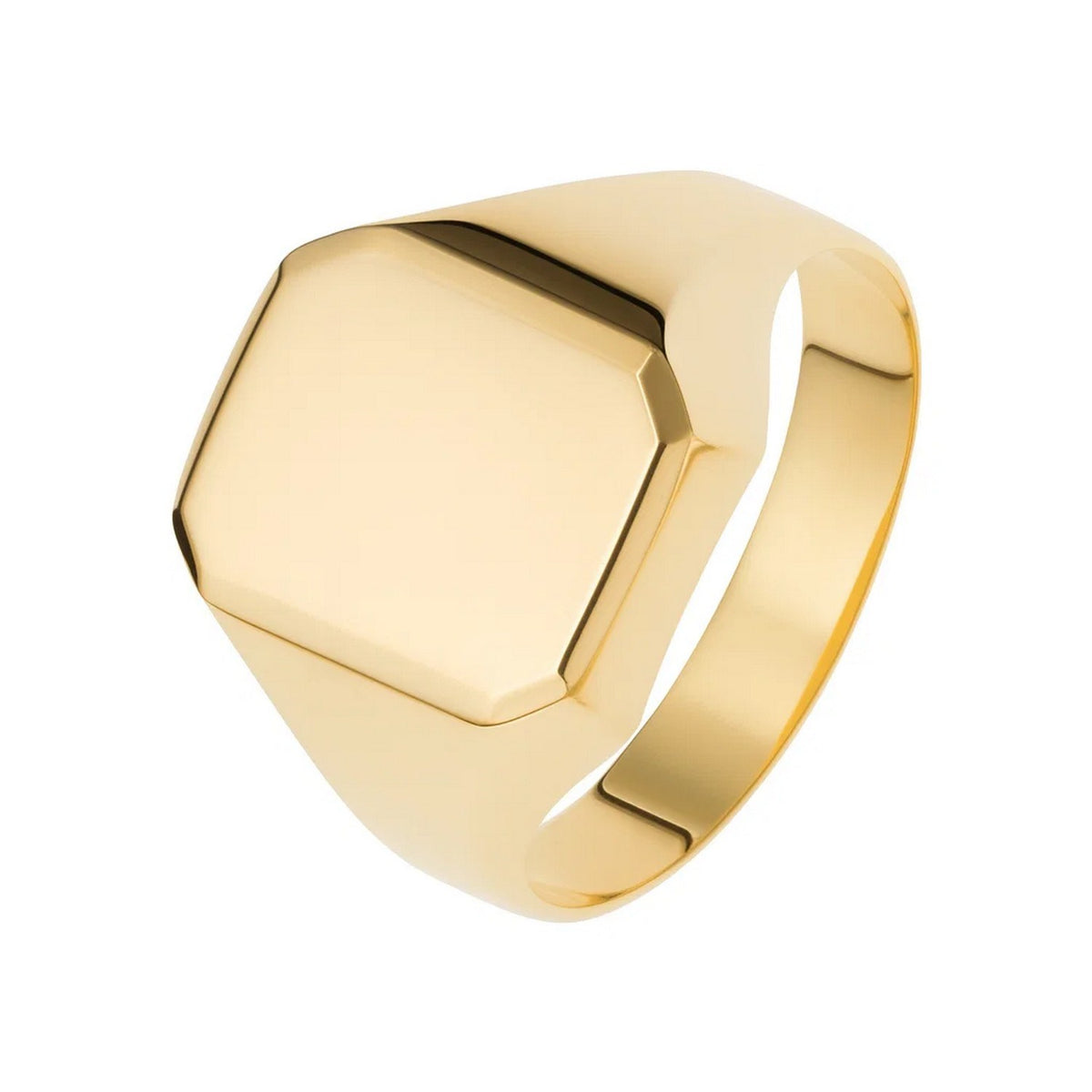 Polished Rectangular Signet Ring in 14K Yellow Gold