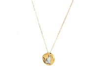 Mother of Pearl Cat Disc Necklace in 14K Yellow Gold — product video