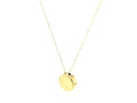 Mother of Pearl Paw Print Disc Necklace in 14K Yellow Gold — product video