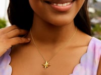 North Star Diamond Necklace in 14K Yellow Gold (0.02 ct. tw.) — product video
